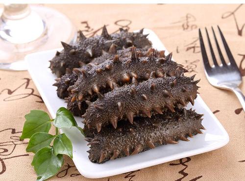 企石海参回收-企石回收海参多少钱