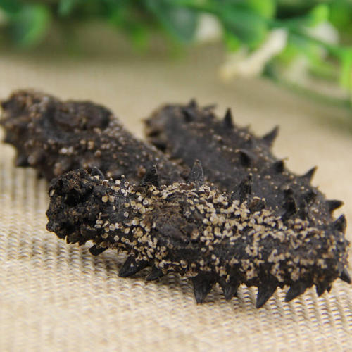 企石海参回收多少钱一斤