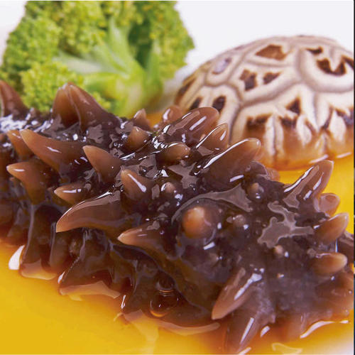 桥头海参回收价格一览表