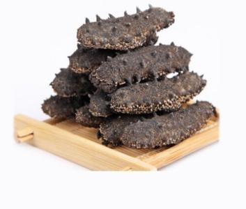 沙田海参回收-沙田回收海参价格