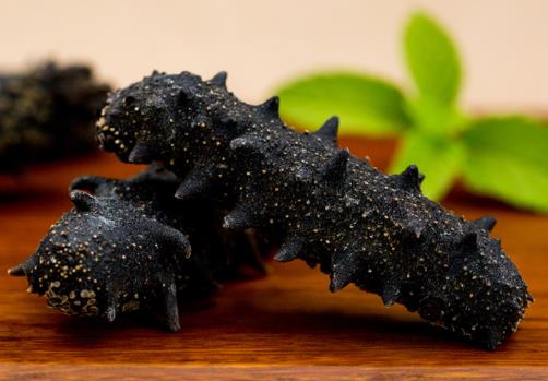 五桂山长期海参回收价格