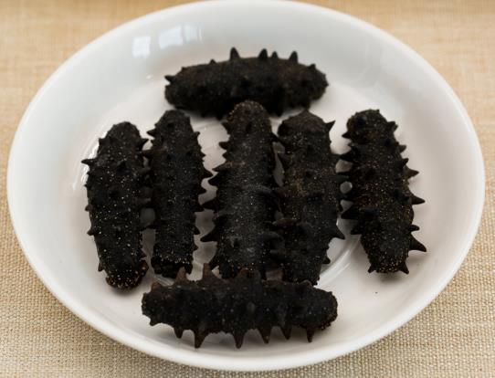 五桂山专业海参回收商家报价