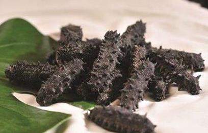 五桂山海参回收价格多少钱