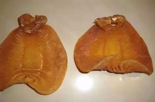 神湾鱼胶哪里有回收的