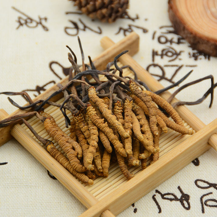 源城虫草回收商家地址