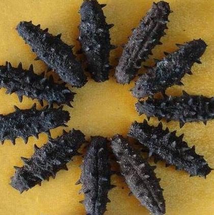 清远商家高价海参回收商家店铺