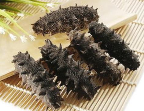 清远商家玉足海参回收价格怎么样