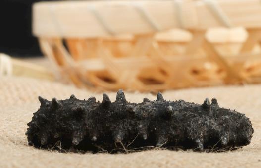 清远商家黑海参回收价格如何