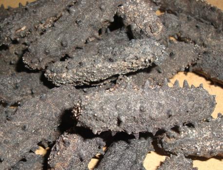 东升商家高价海参回收多少钱