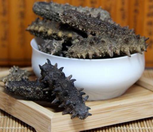 横栏海参回收什么行情