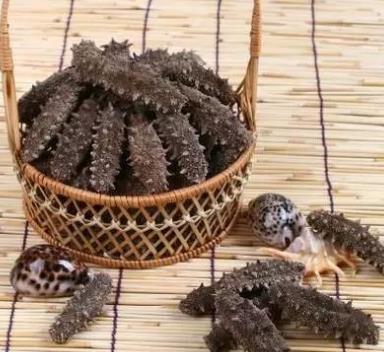 神湾商家海参回收市场行情