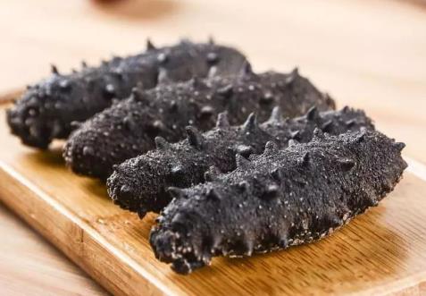 坦洲海参回收什么行情