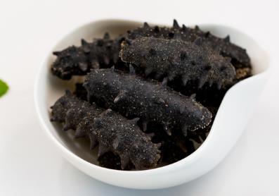 火炬商家海参回收市场行情