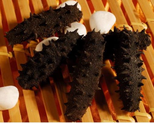 五桂山商家海参回收价格多少钱