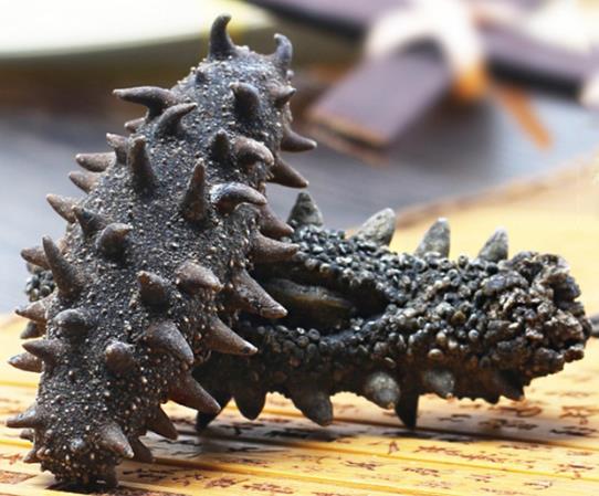 中山港海参回收市场行情如何