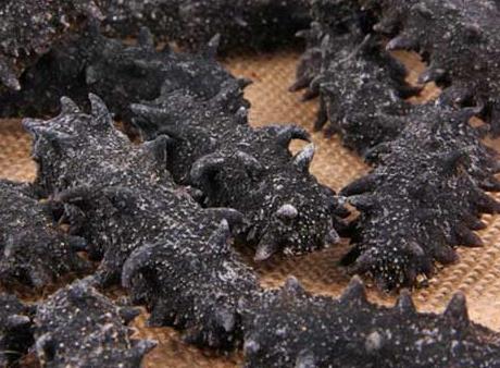 和平海参回收商家报价多少钱