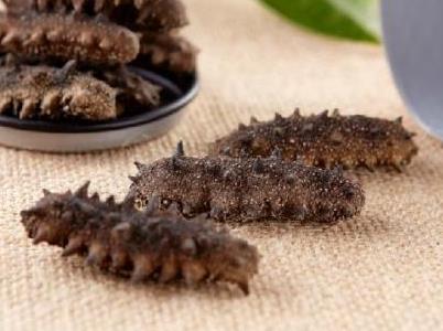 紫金海参回收上门价格多少钱