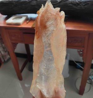 吉大鱼胶回收上门地址