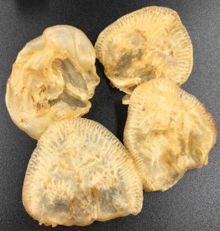 南城鱼胶回收商家免费上门