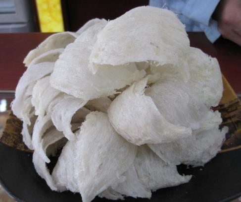 茶山燕窝回收行情价格怎么样