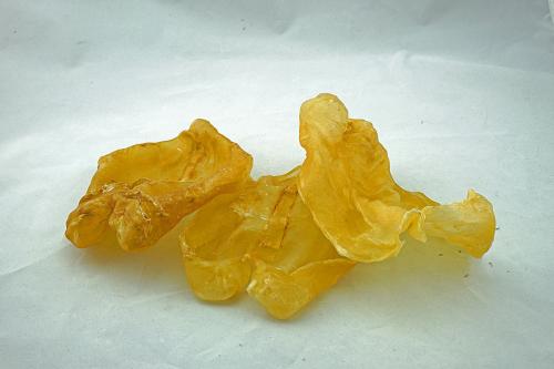 中山鱼胶回收-中山回收鱼胶价格多少