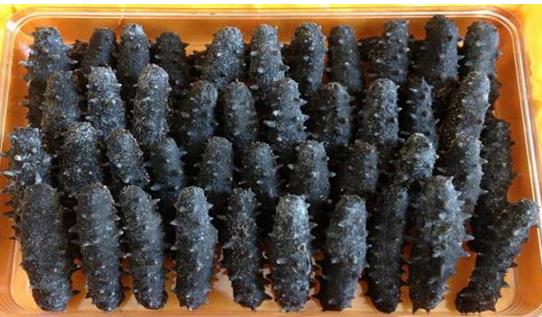 道滘海参回收价格怎么样