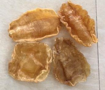 大朗鱼胶回收什么价钱行情