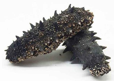 大朗海参回收商家报价怎么样