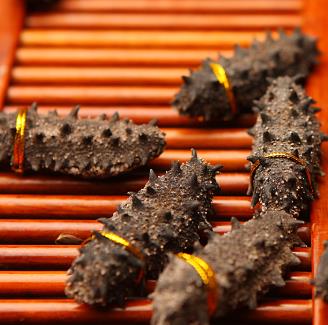 石龙商家海参回收价格多少钱