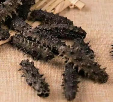 企石海参回收上门价格多少钱