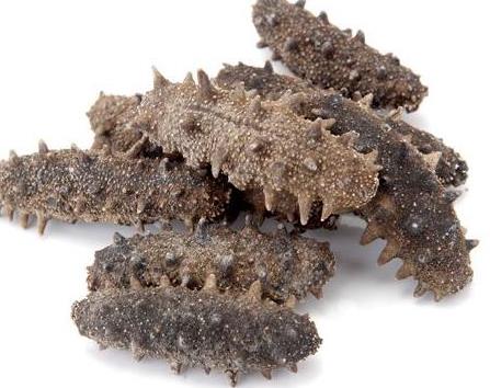 石排海参回收商家电话