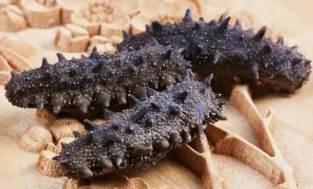 常平海参回收上门价格