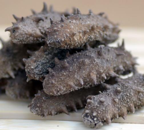 洪梅海参回收行情价格趋势