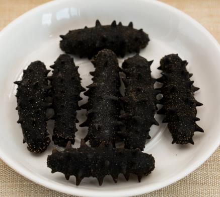 横沥海参回收店铺在哪