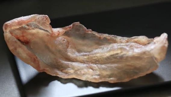 寮步鱼胶回收商家上门价格