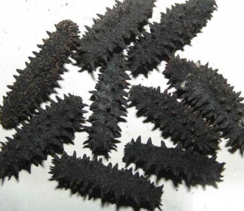 吉大礼品回收商家在哪