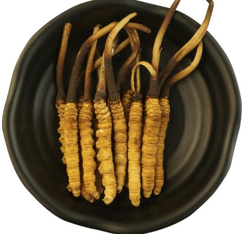 拱北礼品回收行情价格如何