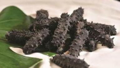 中山海参回收实体店