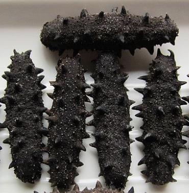 中山海参回收商家上门价格