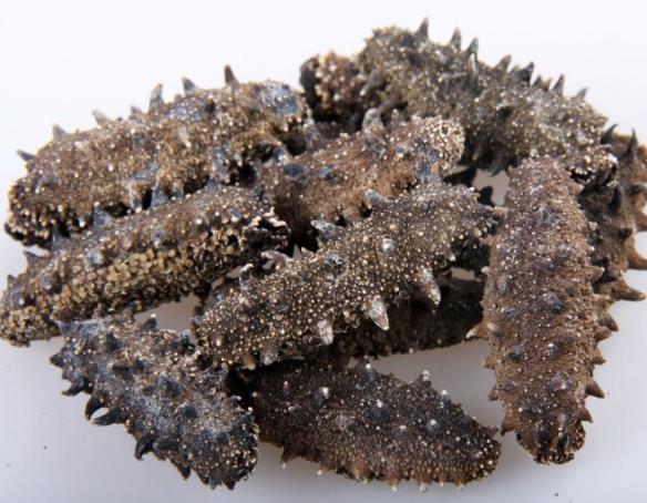 中山专业海参回收商家