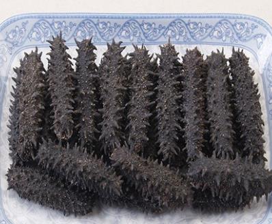 中山海参回收商家行情价格分析