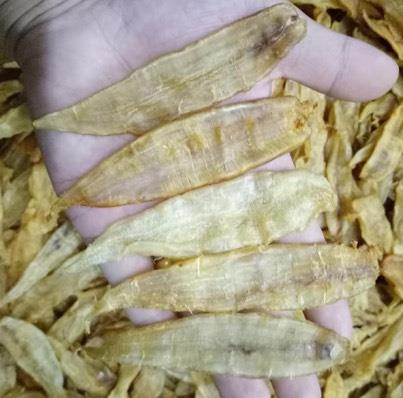 中山港鱼胶回收行情价格