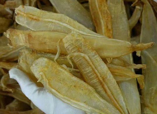 火炬鱼胶回收价格行情分析