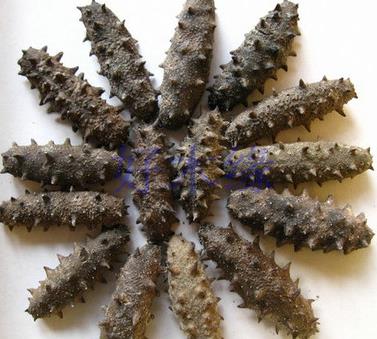 惠州海参回收上门行情