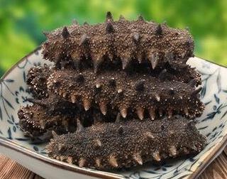 惠州海参回收价格多少钱