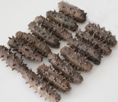 惠州海参回收行情走向