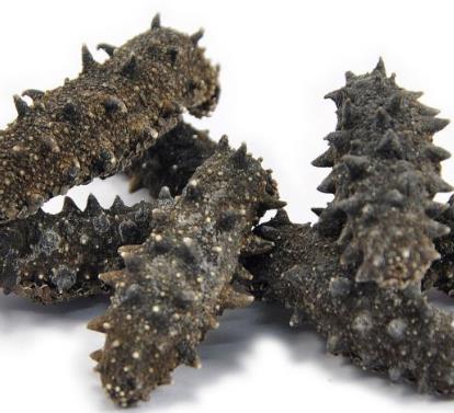 惠州专业海参回收价格多少钱