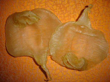 深圳鱼胶回收-不同鱼胶回收市场价格是多少