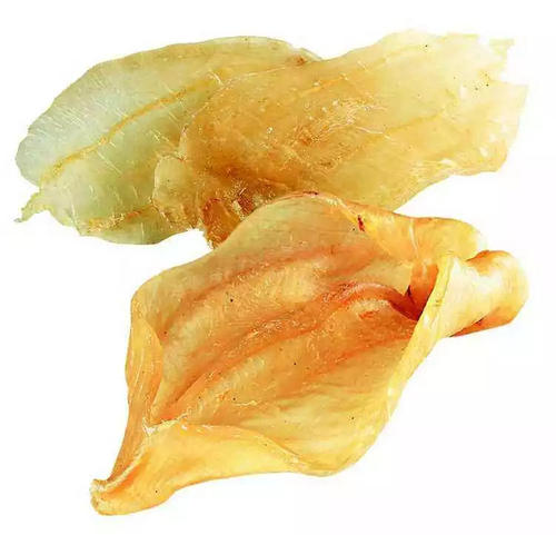 石龙鱼胶回收价格多少钱一斤