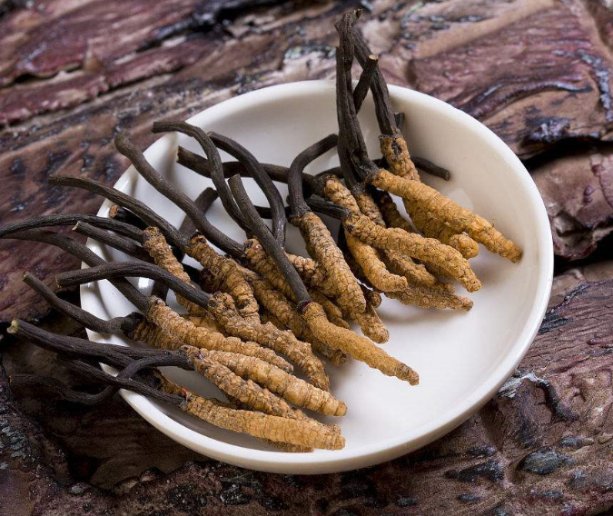 洪梅哪里回收虫草多少钱一克